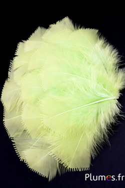 Dinde effilée - 6-8 cm - anis